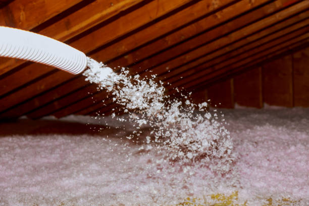 Best Commercial Insulation Contractor  in Ridgewood, IL