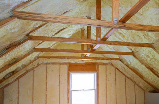 Best Soundproof Insulation Installation  in Ridgewood, IL