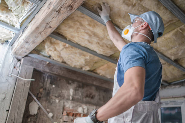 Best Insulation Inspection Services  in Ridgewood, IL