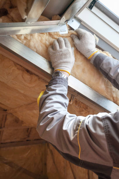 Best Fiberglass Insulation  in Ridgewood, IL