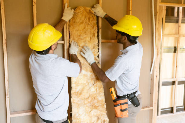 Best Professional Insulation Contractor  in Ridgewood, IL