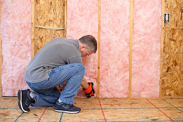 Best Insulation Repair Services  in Ridgewood, IL