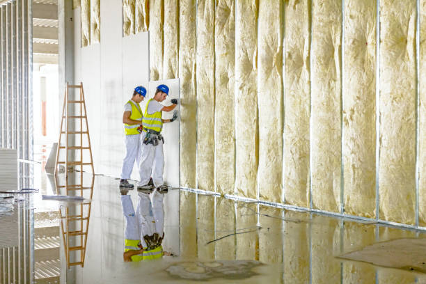 Best Local Insulation Services  in Ridgewood, IL